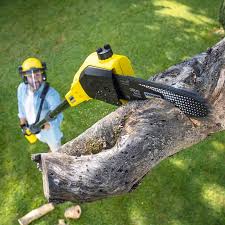 Best Lawn Pest Prevention  in Eagar, AZ